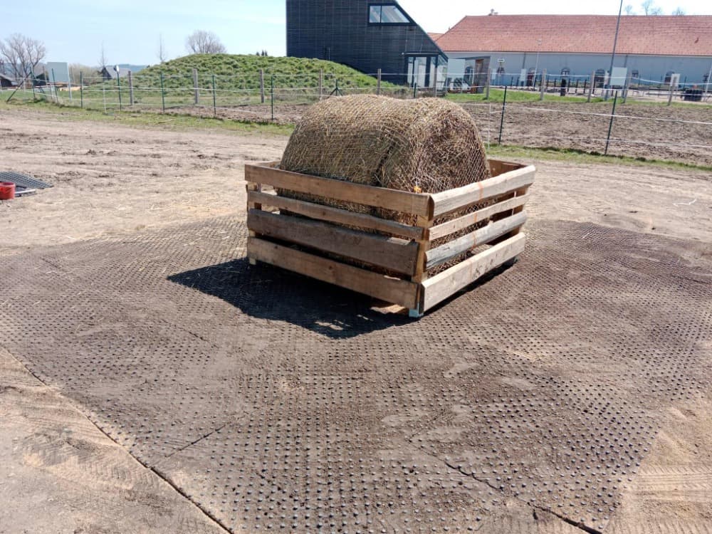 Výběhová děrovaná - obrázek 1